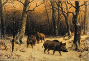 bonheur boars 600